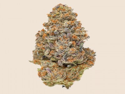 Buy Bordello Kush Marijuana Strain Online